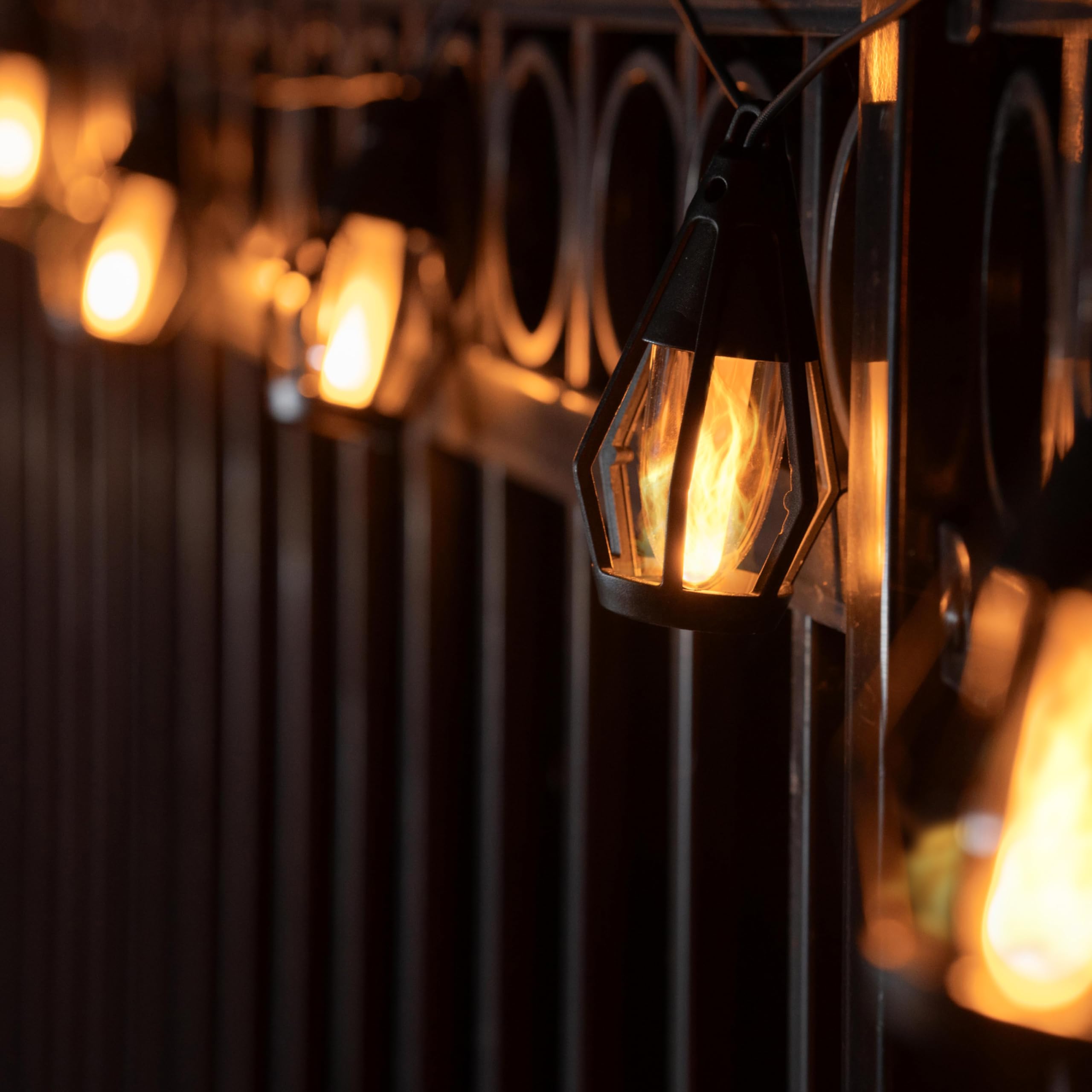 Bulbs & Specialty